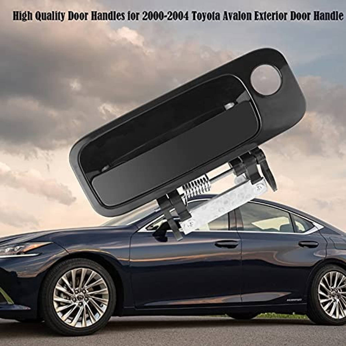 Black exterior door handle, angled view with silver latch spring and mounting hole