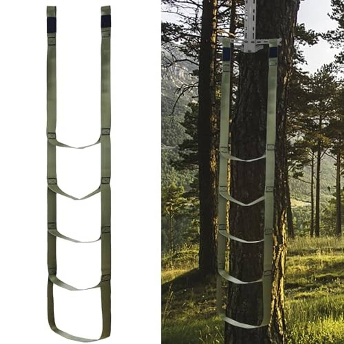Tree climbing stick aider attached to a tree with four green webbed steps