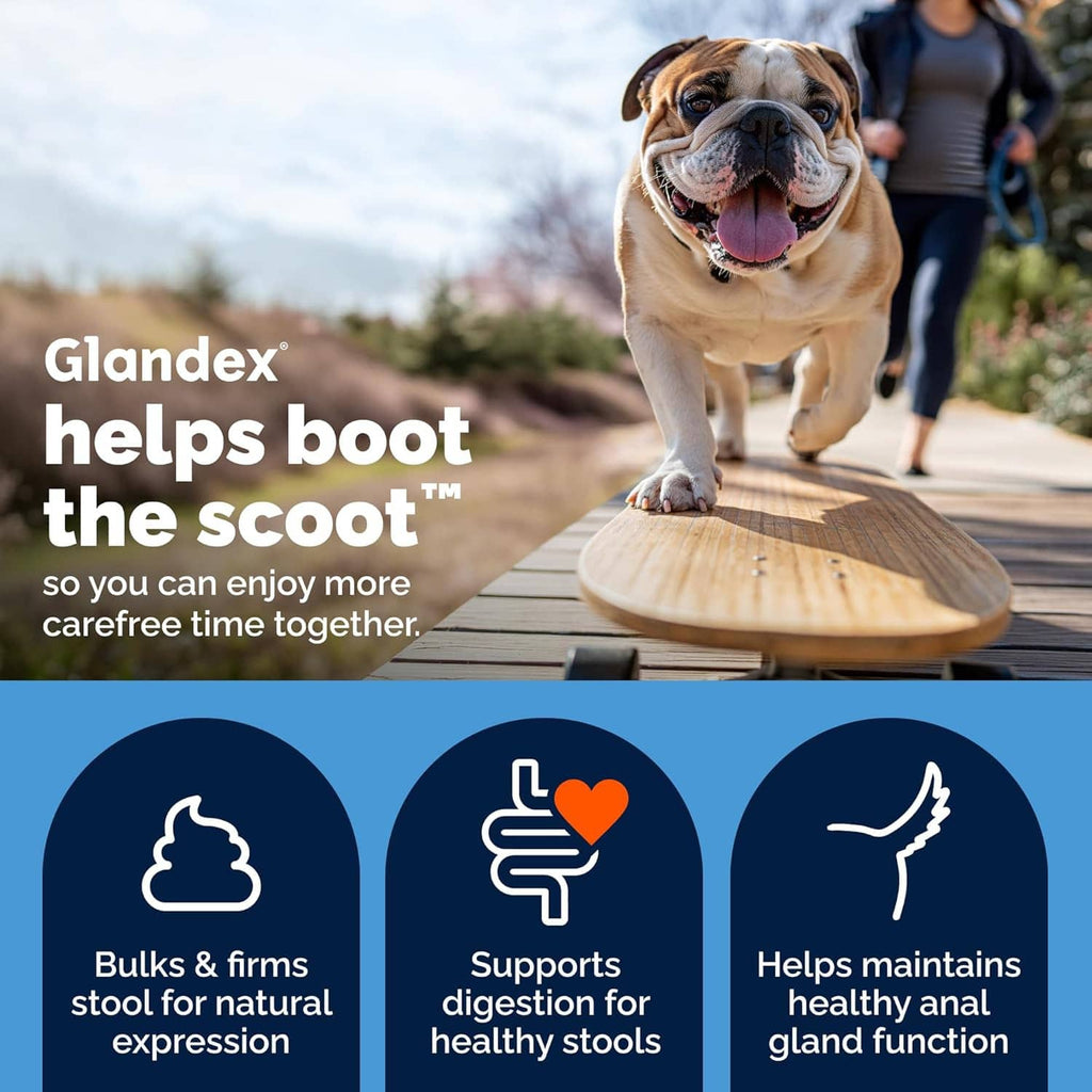 Dog running on board outdoors with anal gland health chew brand and support icons