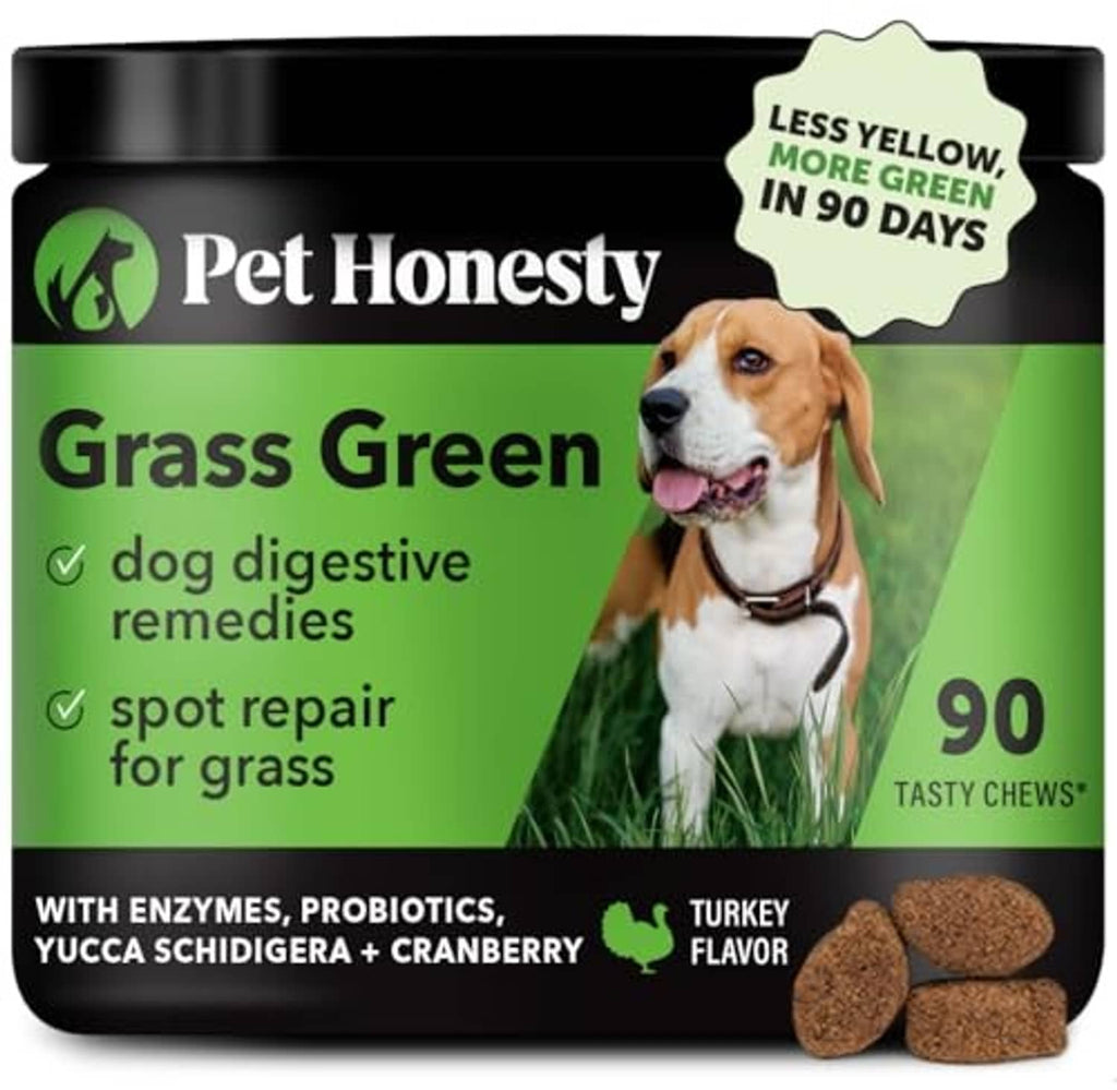 Pet Honest y Grass Green dog chews jar with dog on lawn and brown chew pieces