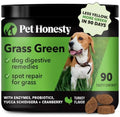 Pet Honest y Grass Green dog chews jar with dog on lawn and brown chew pieces