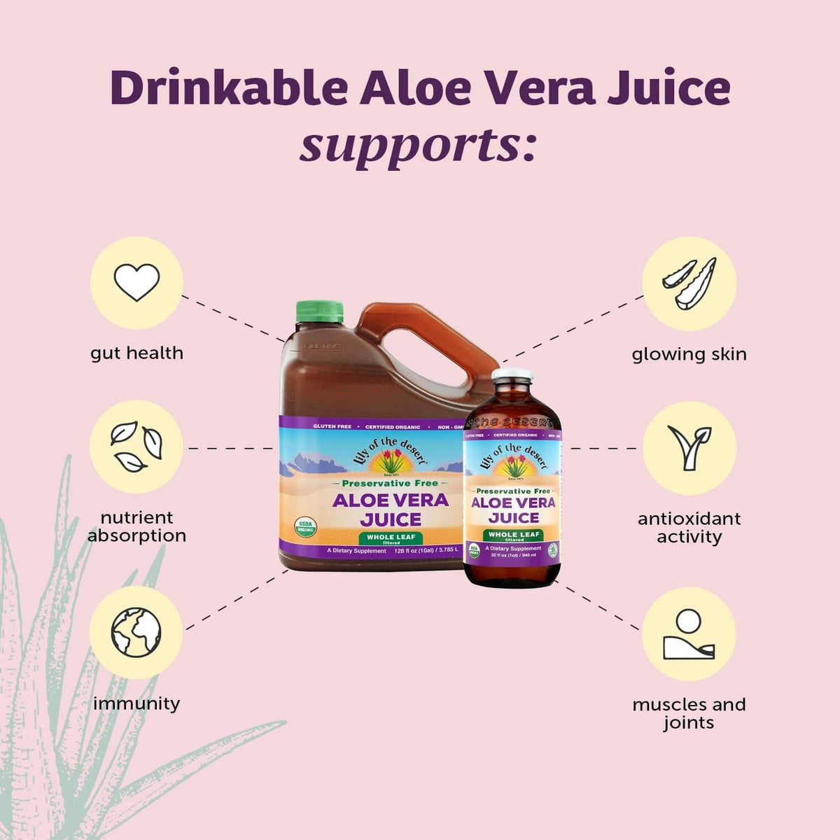 Aloe vera juice bottles with support-benefits icons on graphic
