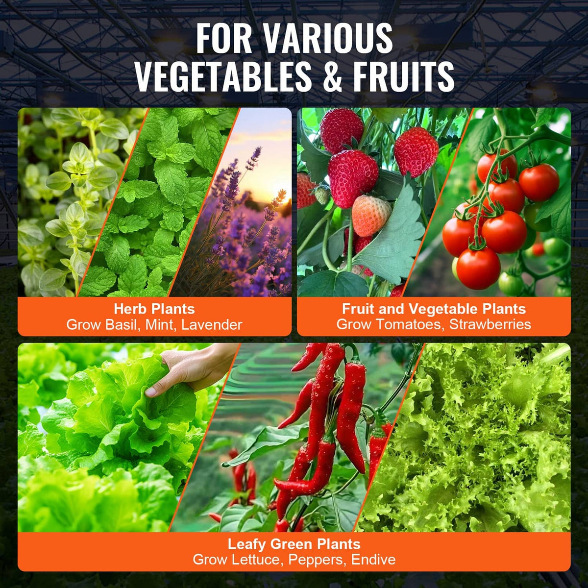 Hydroponic grow bucket kit for vegetables and fruits with planted greenery