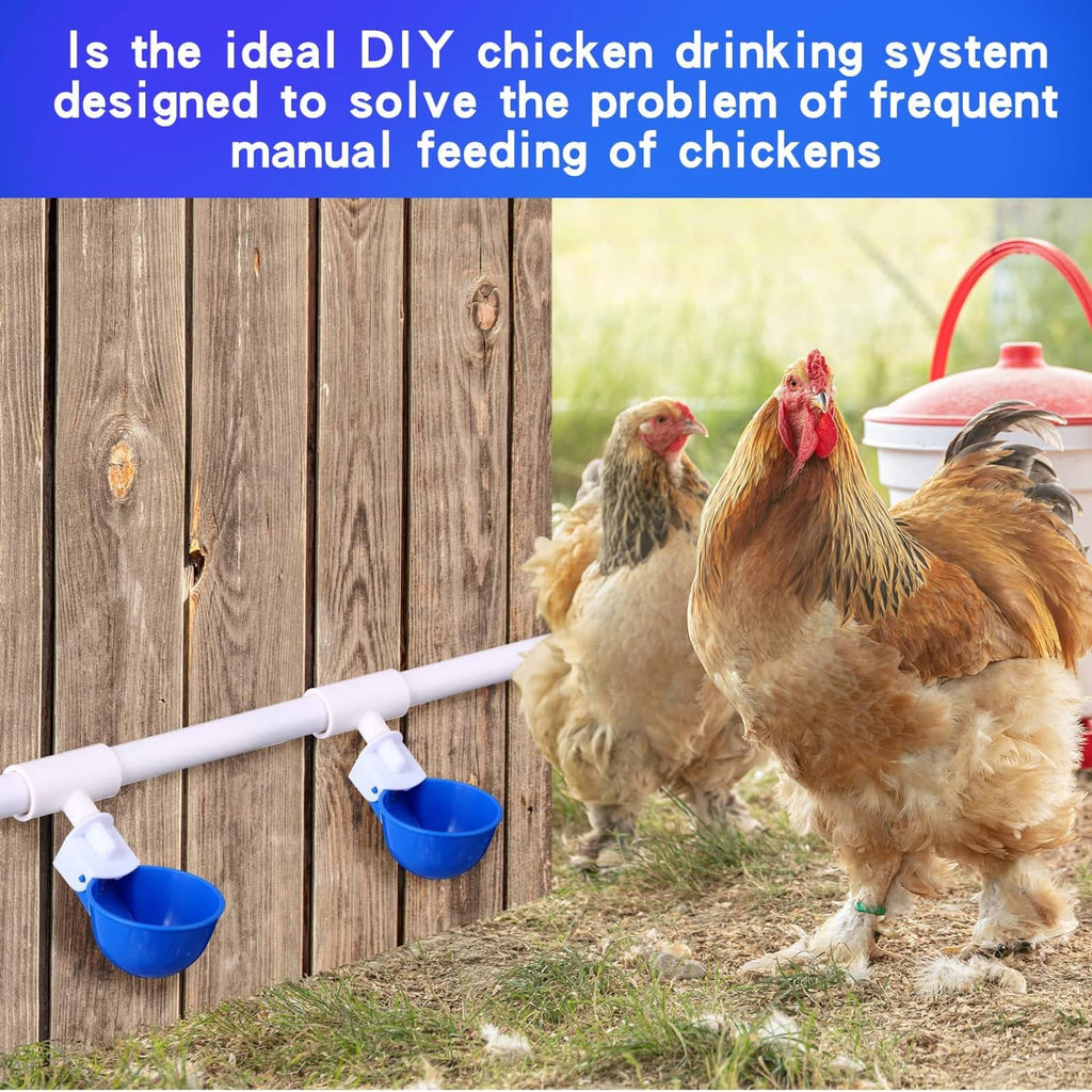 Chickens drinking from an automatic waterer with white PVC pipe and blue cups