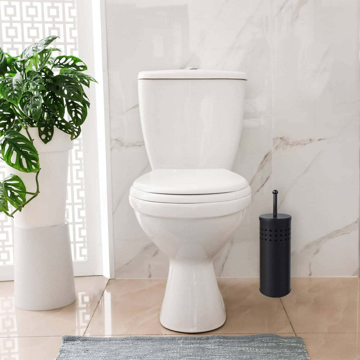 Black toilet plunger and perforated holder next to a white toilet