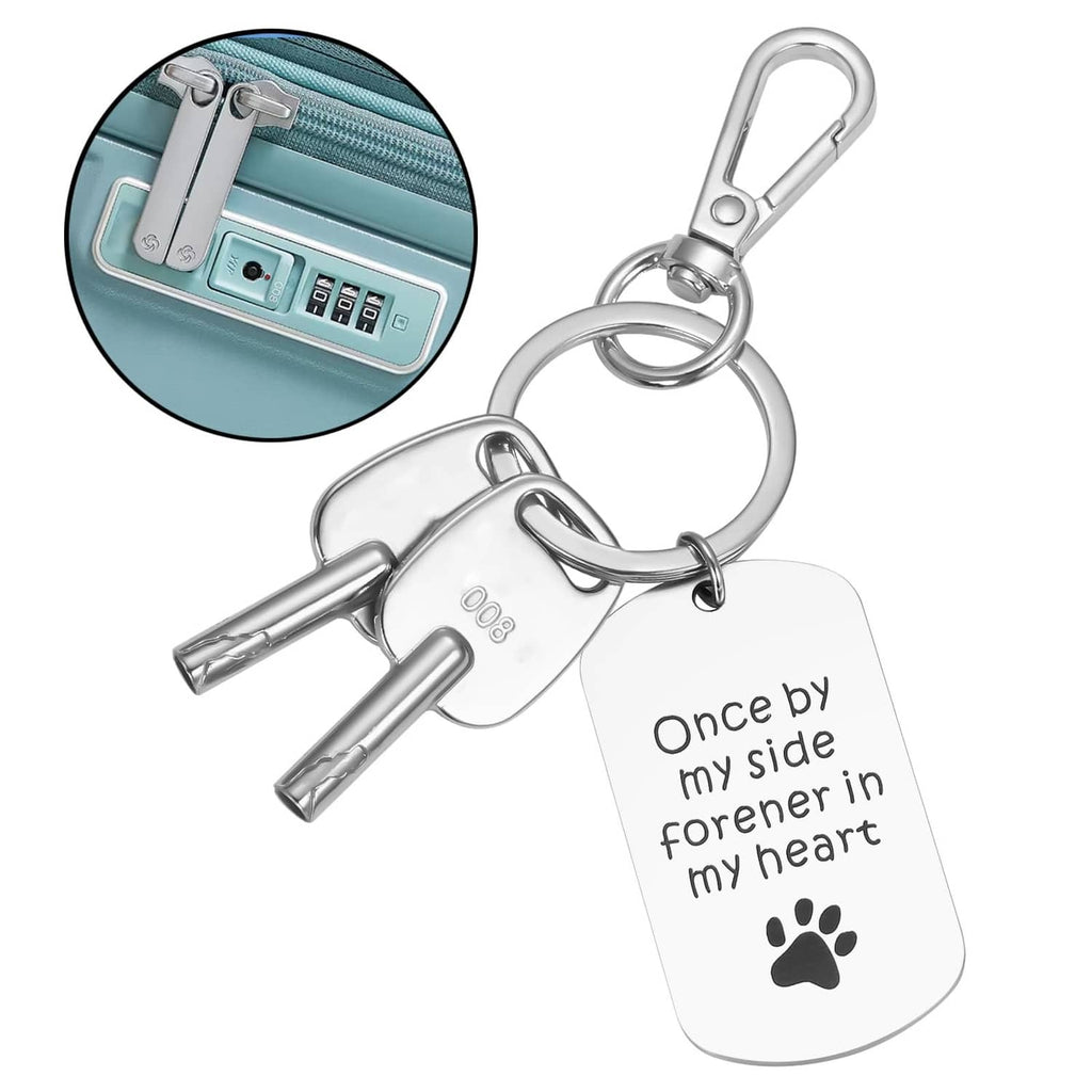Two silver 008 luggage keys on keyrings with engraved paw tag
