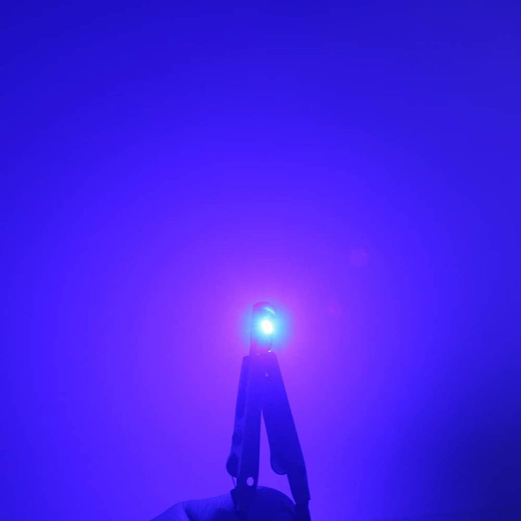 Blue glowing wedge LED bulb with twist socket base.