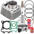 Engine cylinder rebuild kit components: cylinder block, piston, gaskets, spark plug, piston rings