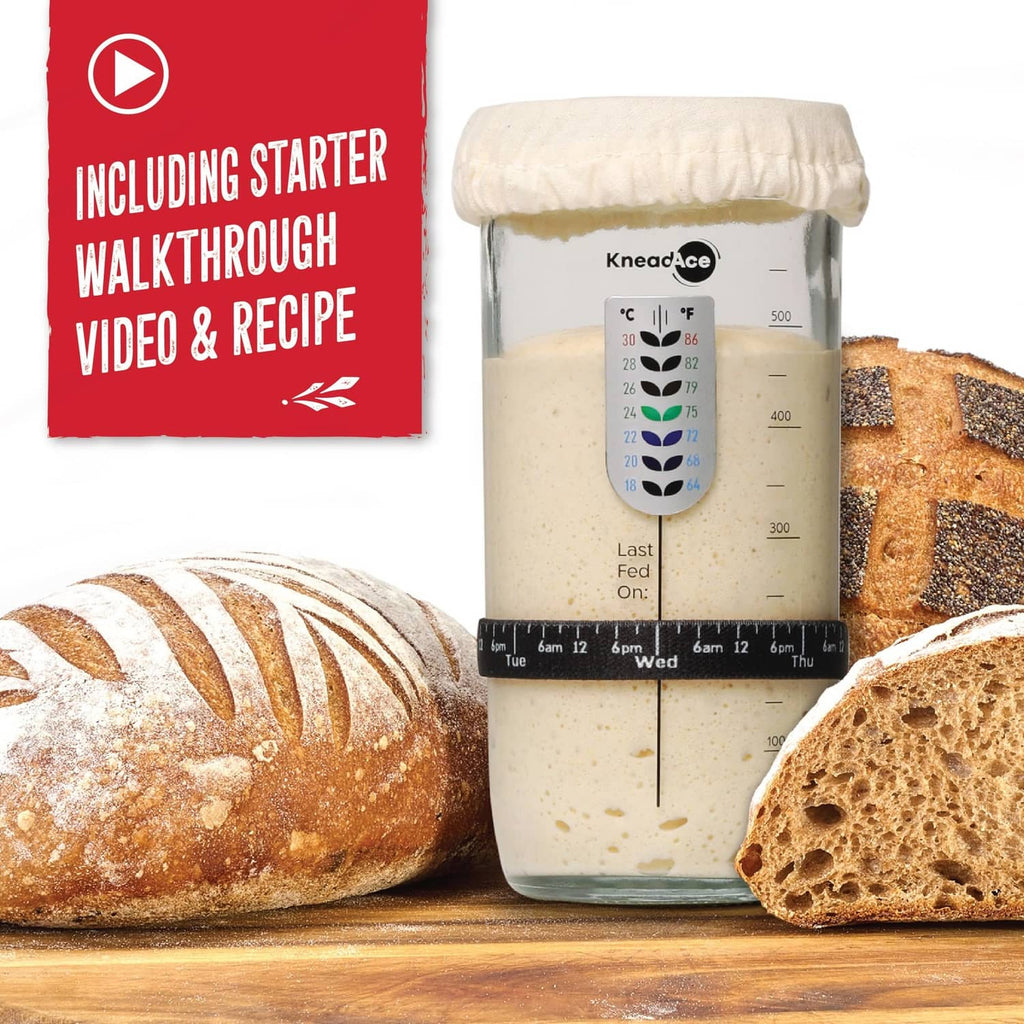 Sourdough starter jar with cloth cover next to bread loaves on a wooden board
