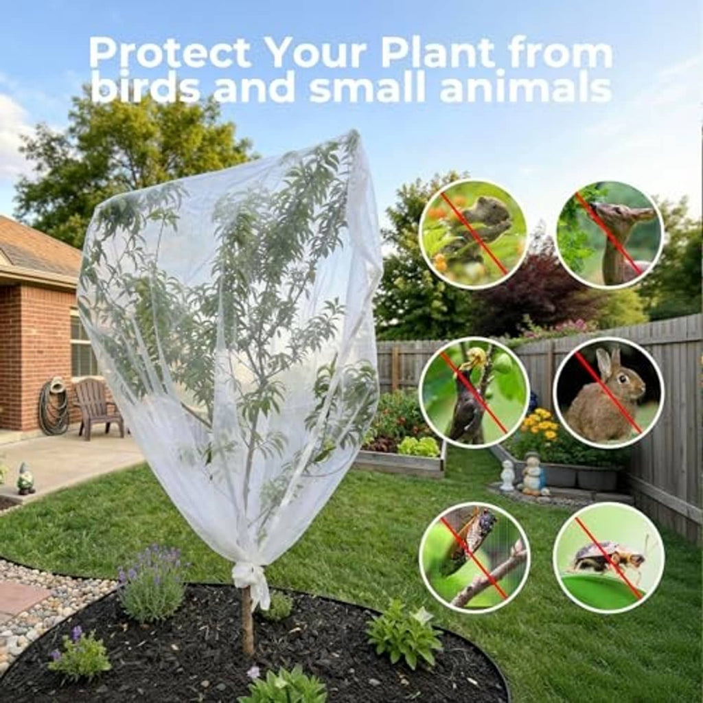 White mesh fruit tree cover with protective enclosure around a young fruit tree