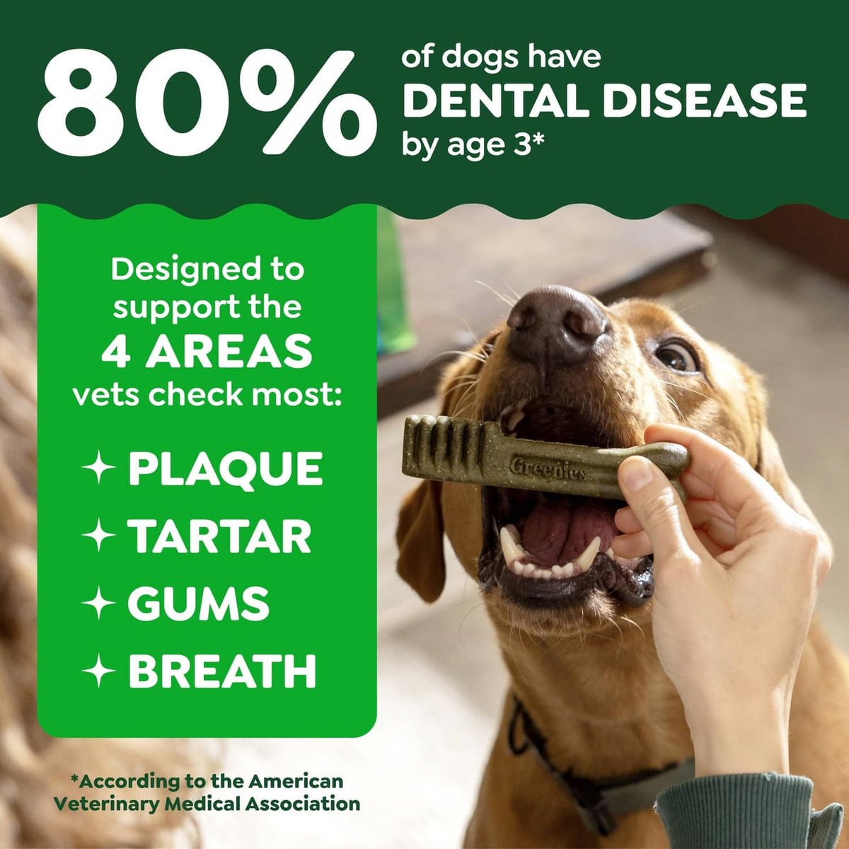 Dog chewing a green dental treat with green informational badge