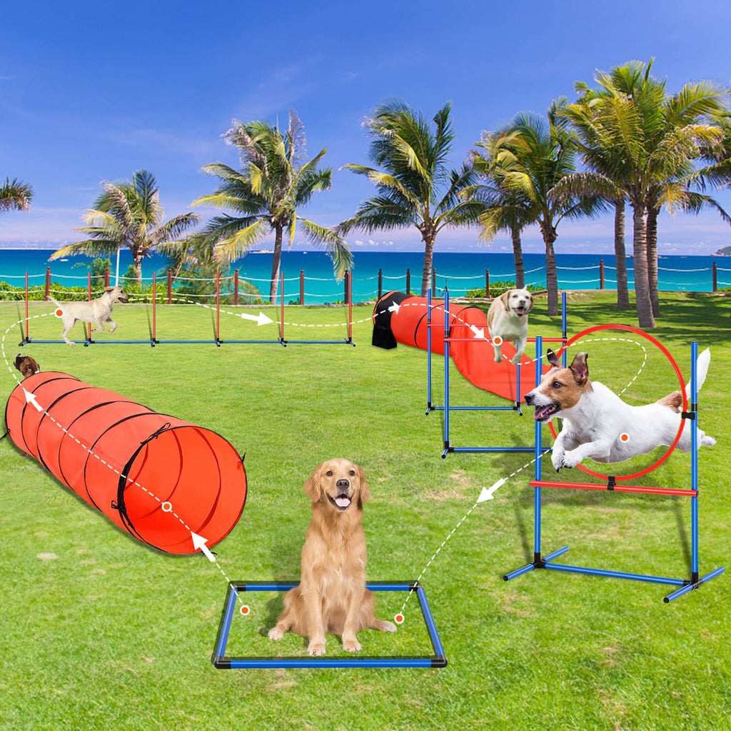 Dog agility training obstacle set with blue hurdles, red hoop, and orange tunnels
