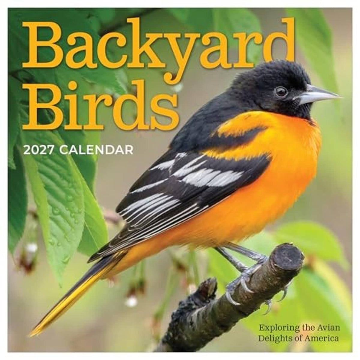 Backyard Birds 2027 mini calendar cover with orange-and-black bird, title and 2027